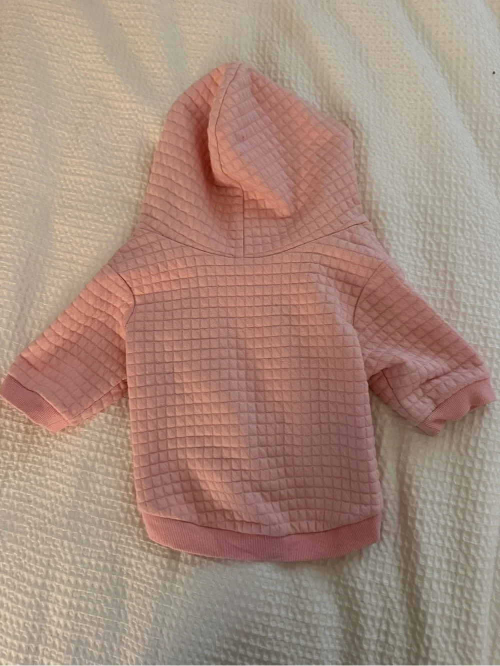 Pipolli Dog jacket
